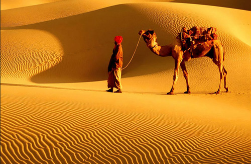 Jaisalmer To Jaipur package