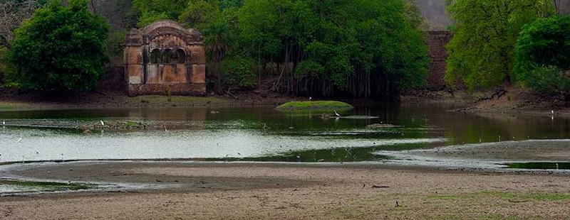 Raj Bagh Ruins: