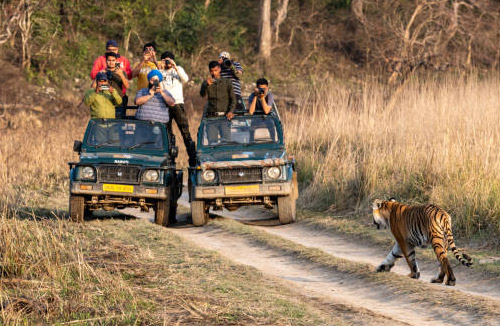 8 Days Golden Triangle Tour: Delhi, Agra, Ranthambore, Jaipur