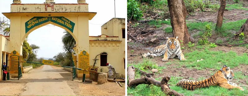 Sariska National Park