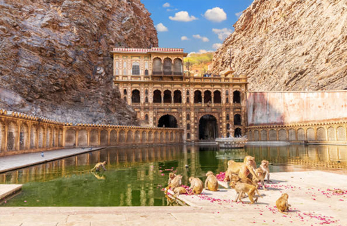Galta Ji: Jaipur's Monkey Temple